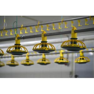 Custom Prefab Steel Poultry Shed Q235B Q355 Galvanized