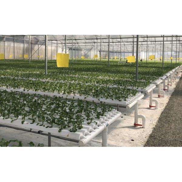 Customized Flexible Hydroponic Growing System NFT Tube For Cleaner Growth