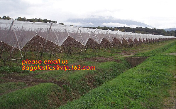 Green Construction Building Scaffolding Safety Net /Safety Mesh Netting