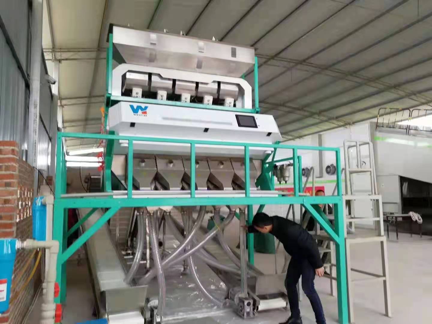 6 Chute Wheat Barley Color Sorter Machine Oat Color Sorting Machine