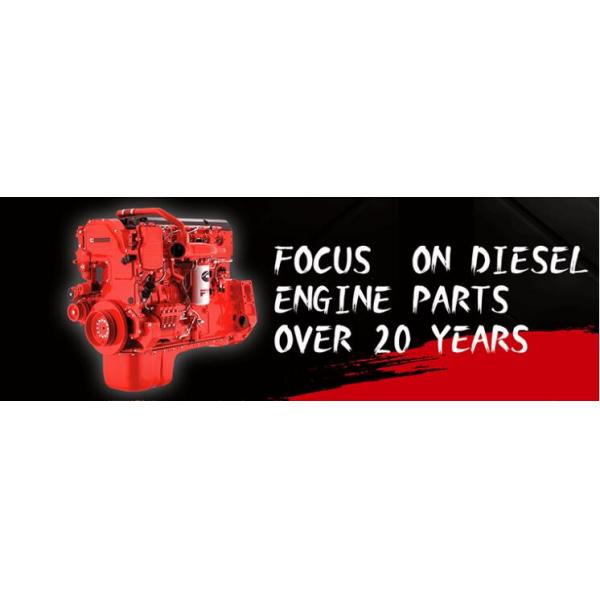 3417674 Cummins Fuel Pump ISM M11 Diesel Engine Fuel Injection Pump