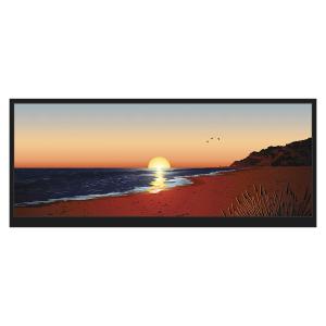 China 12.3 Inch 1920x720 HI LCD Display wholesale