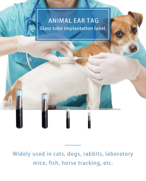 Animal Microchip Microchip Chip Rfid 1.4*8mm Animal Pet Tracking Identity Chip For Dogs