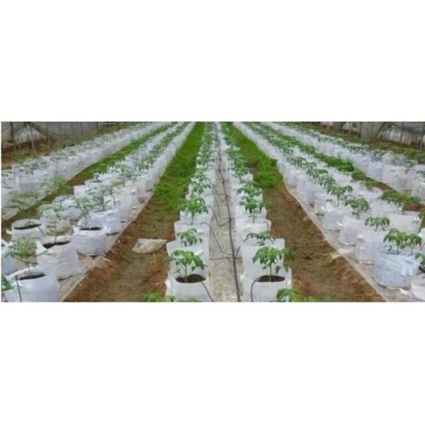 Garden used tomato plastic film cover,high light transmittance solar control seeding nursery greenhouse covers,100% virg