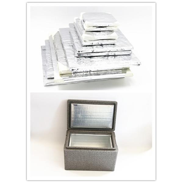 Custom Eco Friendly Colorful Ice Blocks For Cool Boxes 100Ml Apple Shape