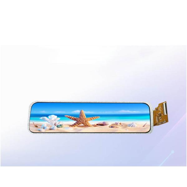 TFT Display Module 9.3 Inch With Touch Panel 480*1920 Brightness 550 C/d Driving IC ER8857B