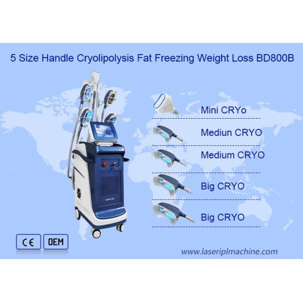 2 In 1 Cellulite Removal EMS Muscle Building Cryotherapy Body Slimming Machine