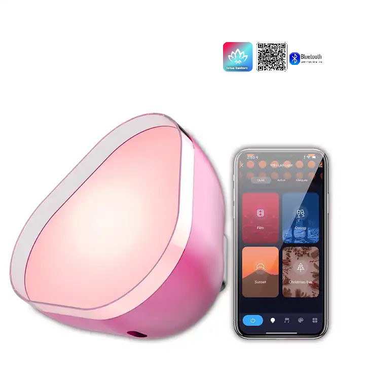 China USB Charging Atmosphere LED Lights RGBIC Bluetooth Customized wholesale