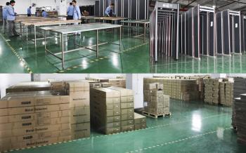 Securina Detection System Co., Limited