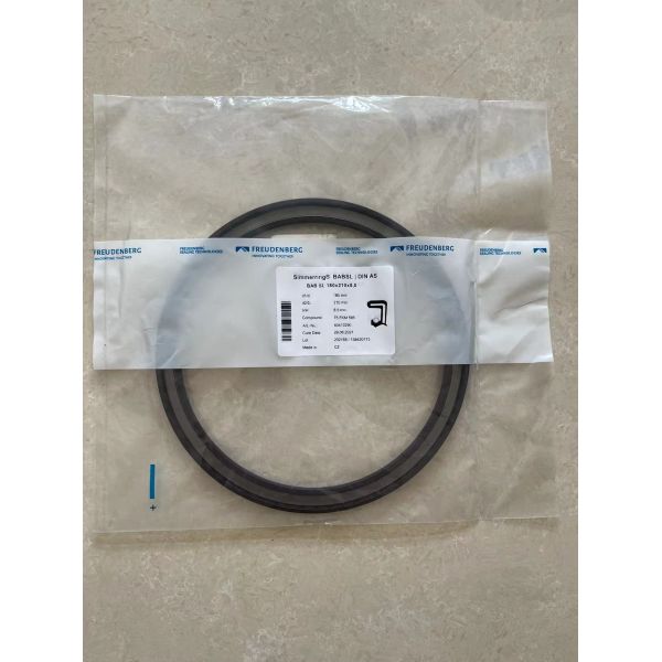 Skeleton Oil Seal Part Number 180X210L08N For Kessler Driven Axle