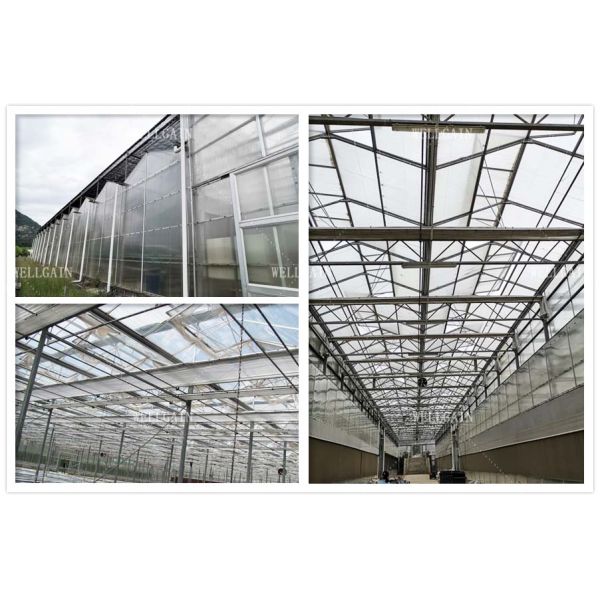 Crop Growth Polycarbonate Greenhouse With Snow Resistant Aluminum Frame
