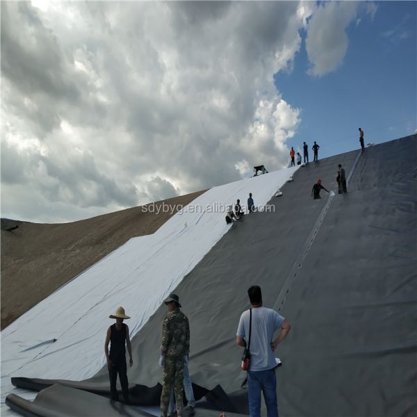 0.1mm-3.0mm Thick Dam Reservoir HDPE Geomembranas Sheet Pond Liner for Water Storage