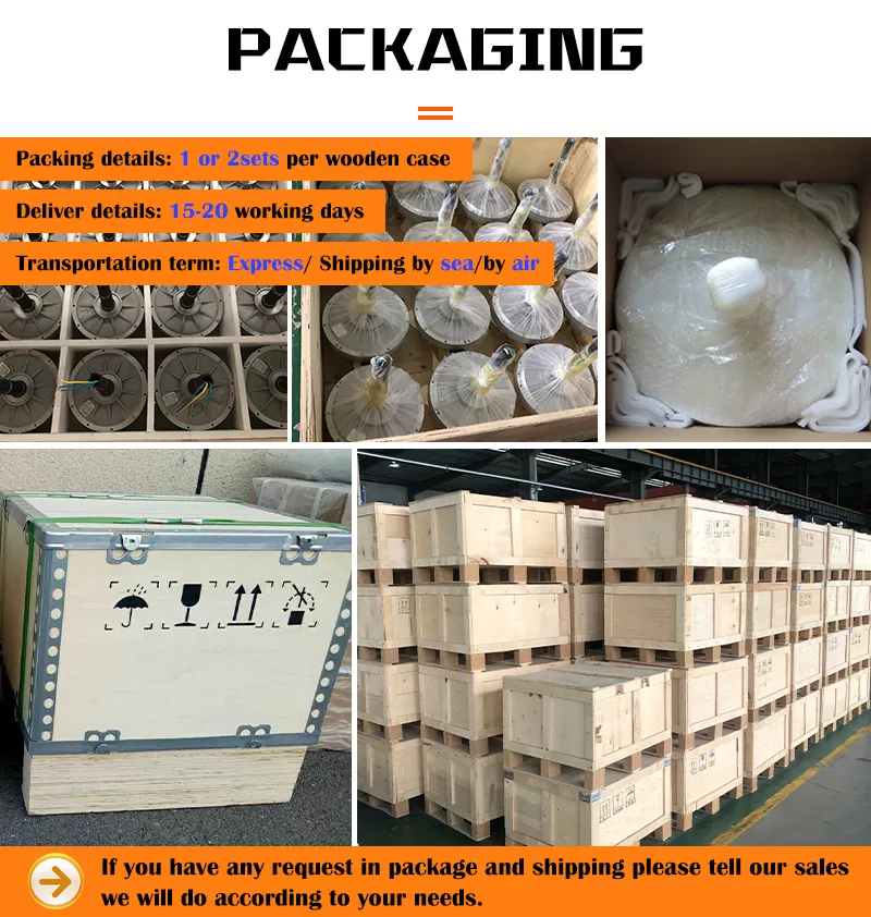 Custom Output Voltage 3kw 220v Vertical Axial Wind Turbine Generator for Sales