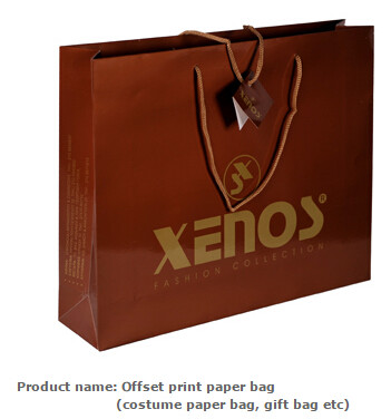 paper carrier bag luxury printed paper gift bag raw materials of brown paper bag wholesale,luxury shopping black packagi