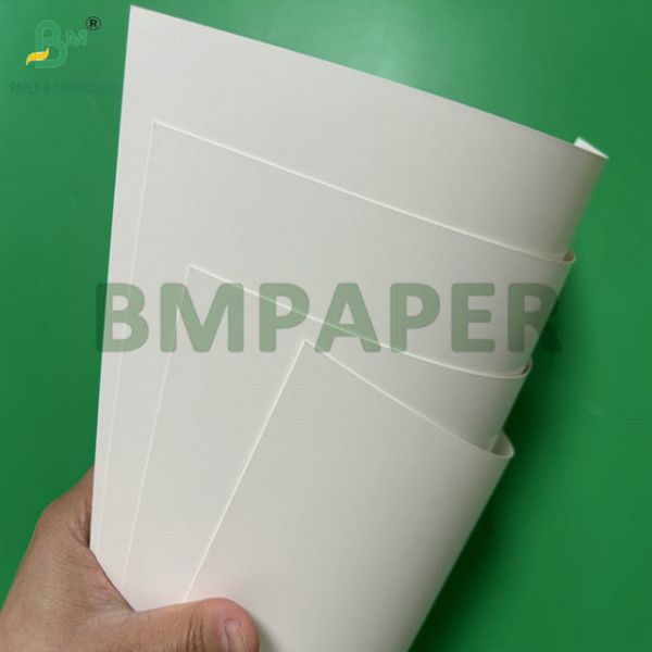 300g 350g 900mm 1000mm Coated Foodgrade SBS Paper For Food Package Box 300g 350g 900mm 1000mm Coated Foodgrade SBS Paper For Food Package Box