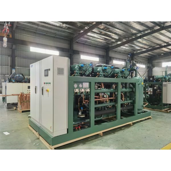 Beef Slaughter Plant Cold Storage Blast Freezer with Stainless Steel Panel