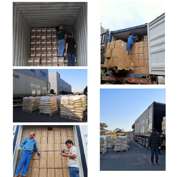 Factory Supply 100% Natural Skin Care Gotu Kola Extract 10%~40% Asiaticoside Centella Asiatica Extract