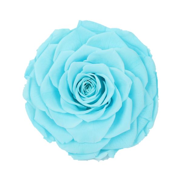 Home Decor Preserved Rose Heads Creative Household Decorative Furnishings