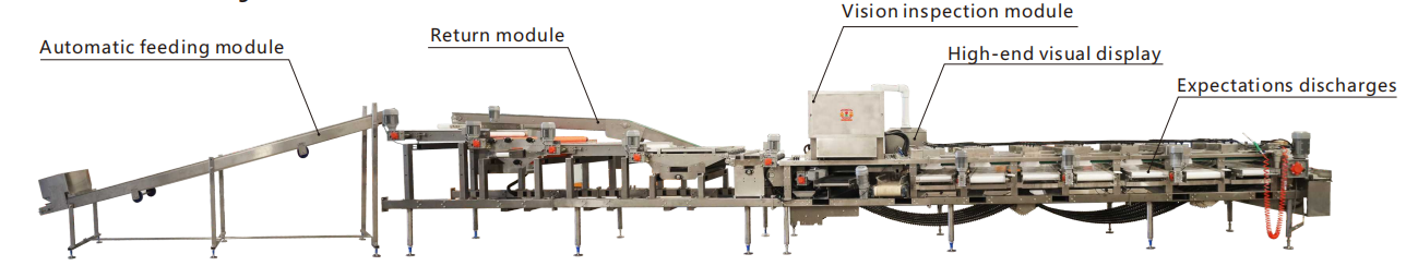 Electric Drive Blueberry Sorting Grading Machine 380V 6 Channels