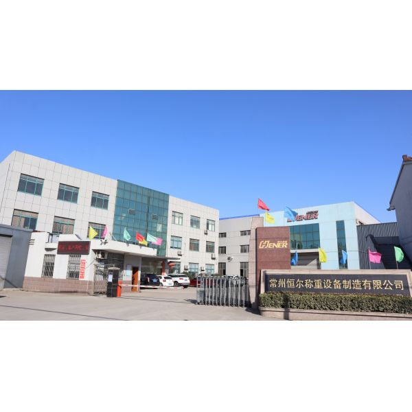 50 Ton Pit Type Mechanical Weighbridge With KELI