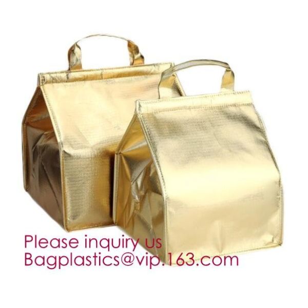 Foldable Lunch Insulated Cooler Bag Heated Food Delivery Bag Thermal Pizza Delivery Cooler Bag