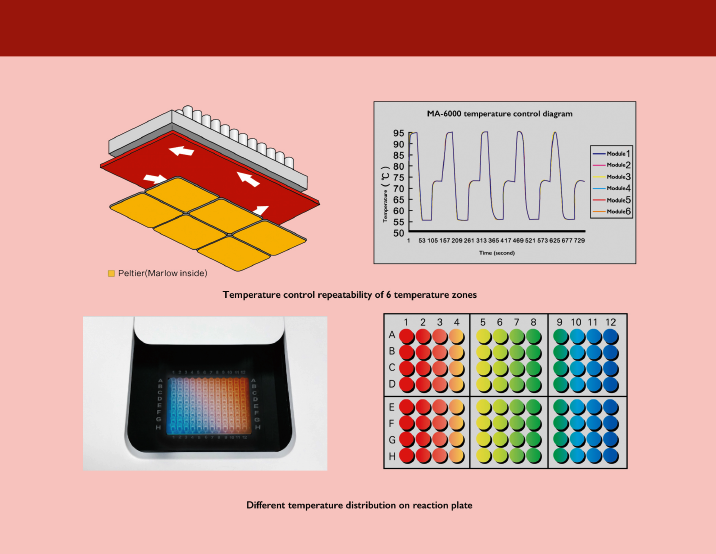 MSDS Nucleic Acid Extraction Machine , MA6000 Real time Quantitative PCR Machine