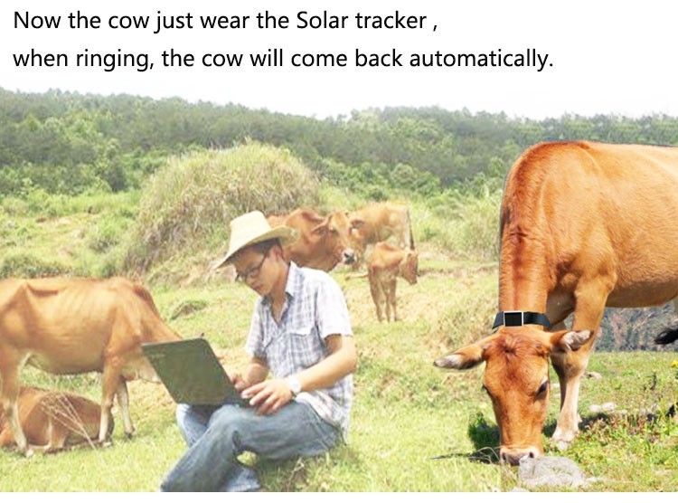 Solar Powered Waterproof Portable Real Time Pet GPS Tracking Devices