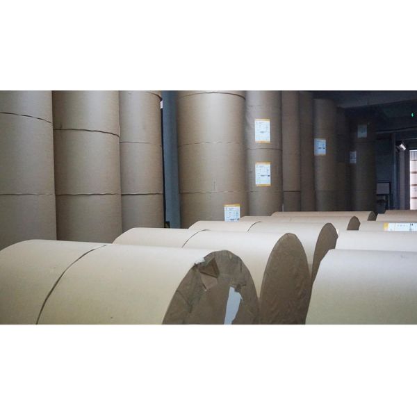 FDA Custom Logo Single PE Coated Stock Paper Cup Raw Material