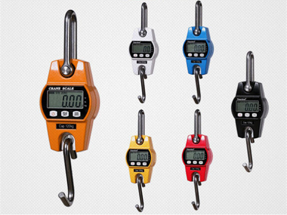 100kg 50kg 200kg Digital Crane Hanging Hook Weighing Scale