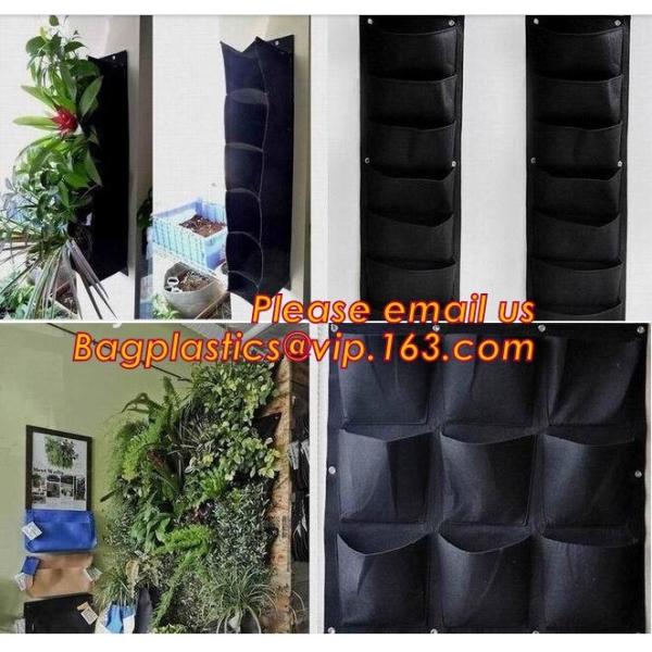 Garden used tomato plastic film cover,high light transmittance solar control seeding nursery greenhouse covers,100% virg