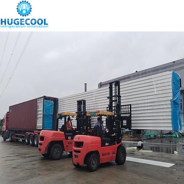 Beef Slaughter Plant Cold Storage Blast Freezer with Stainless Steel Panel