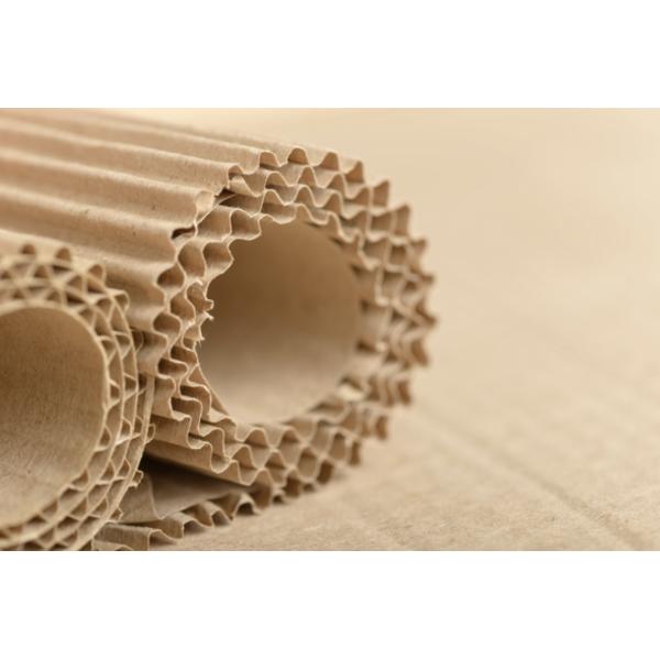 Tungsten Carbide Corrugated Paper Slitting Blade 300x3.5x30mm