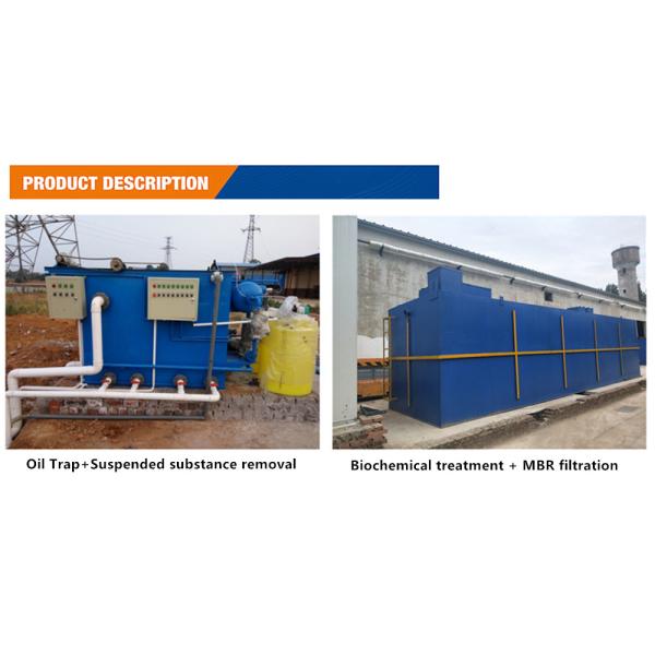 1200KG Halal Poultry Slaughter Plant for Advanced Cattle Sheep and Chicken Processing