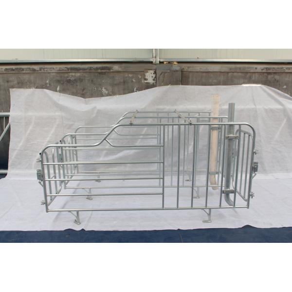 Corrosion Resistance Iron Pig Farrowing Crate Safe Feeding Place For Sow