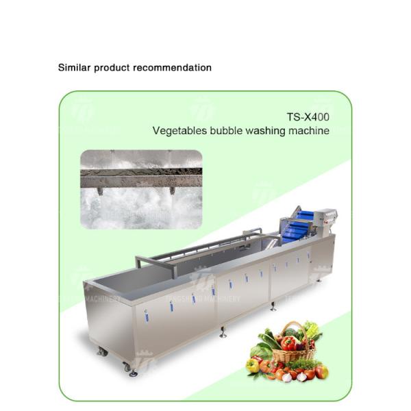 SUS304 Ozone Treatment Fruit And Vegetable Washing Machine Cherry Tomato