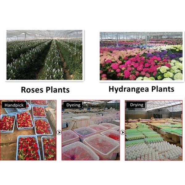 christmas ornaments long stem real touch natural flowers preserved roses