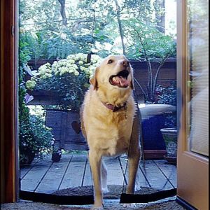 Casual Polyester Mosquito Net Stop Mosquito Net For Baby