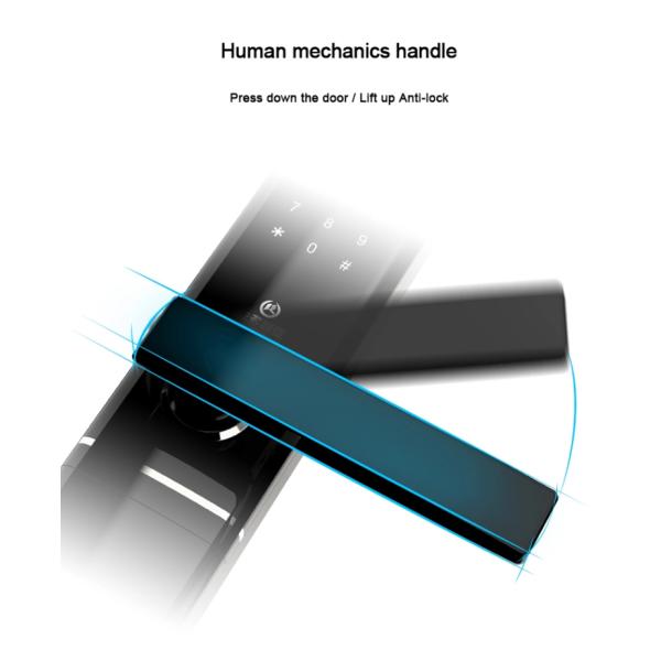 Zinc Alloy Panel Remote Access Door Lock With TTlock App Control Compact Size