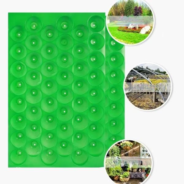 54 Holes Pp Nursery Seedling Tray Eco Friendly Vegetable Seed Starting Trays
