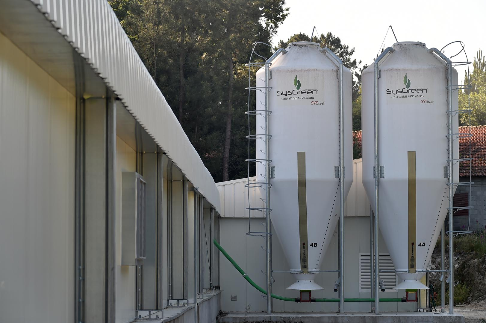 Custom Prefab Steel Poultry Shed Q235B Q355 Galvanized