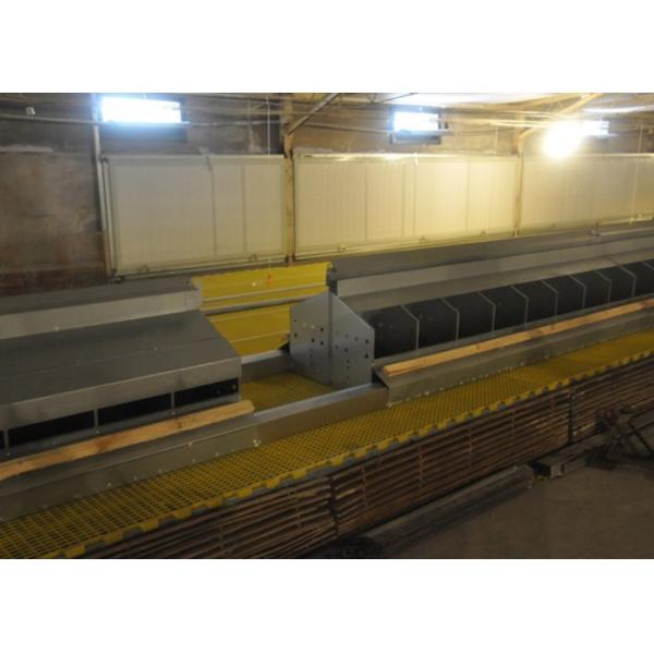 Galvanized SS304 Chicken Egg Collection System 2440mm Length