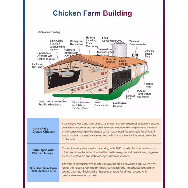Metal Steel Structure Layer Brioler Chicken Prefab Poultry Farm Building