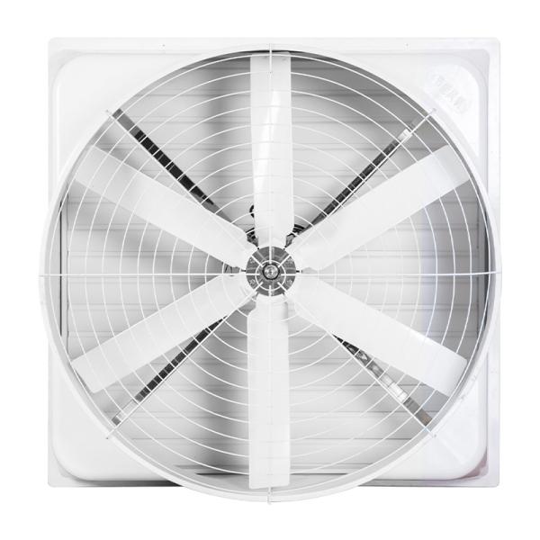 Source Factory Automatic Ventilation Louvers Fiberglass Fan /frp Exhaust Fan With Factory Price in China