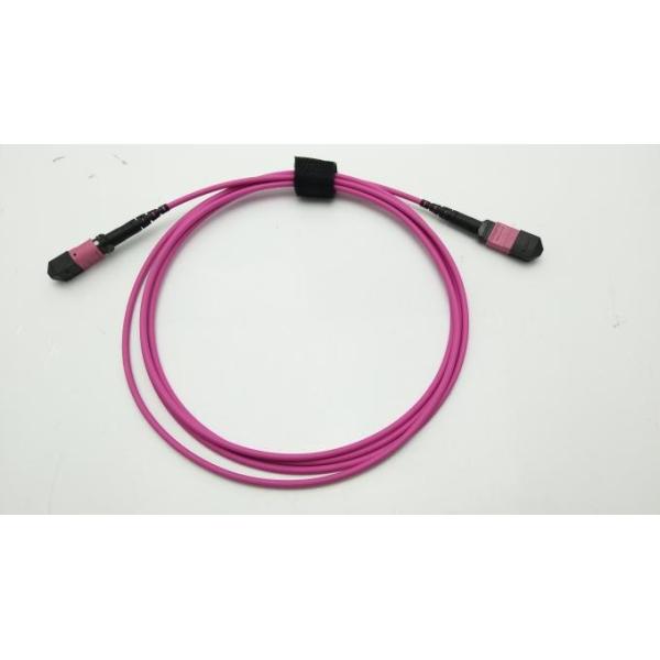 MPO MPT Multi Mode Fiber Optic Patch Cord 12 Core