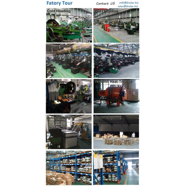 304/316/410 Stainless Steel Hex Washer Self-Drilling Tek Screw W/ Plastic Washer