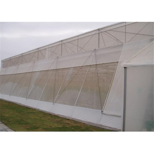 Professional Insect Mesh Netting 1-10 M Width For Greenhouse Covering