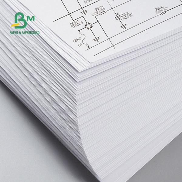 Plotter Paper 36'' x 300ft On 2'' Core Wide Format CAD Paper Roll