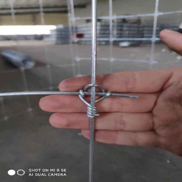 1''-4'' Aperture Field Wire Fence Easily Assembled Hinge Joint / Fixed Knot Type