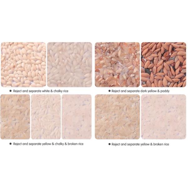 Rice Color Sorting Equipment Precise Target Positioning 6.0Kw RGB 5400 Pixel