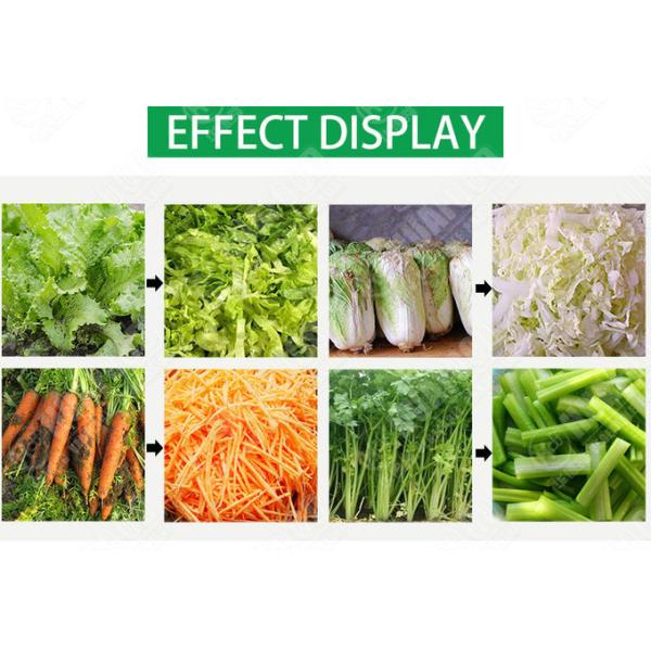 CE Approved Broccoli Lettue 1 Ton/H Vegetable Washing Machine